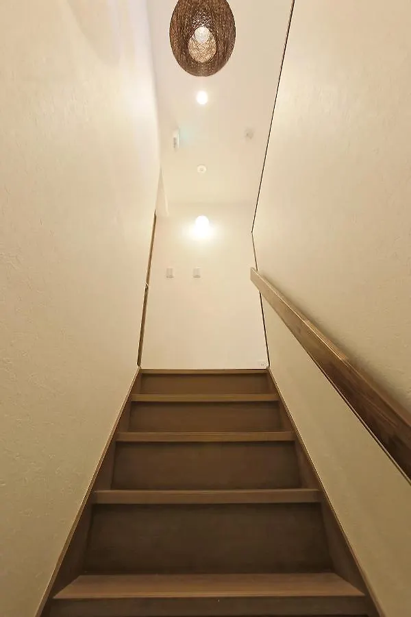 Zebrahouse Tenroku Villa Osaka Japonya